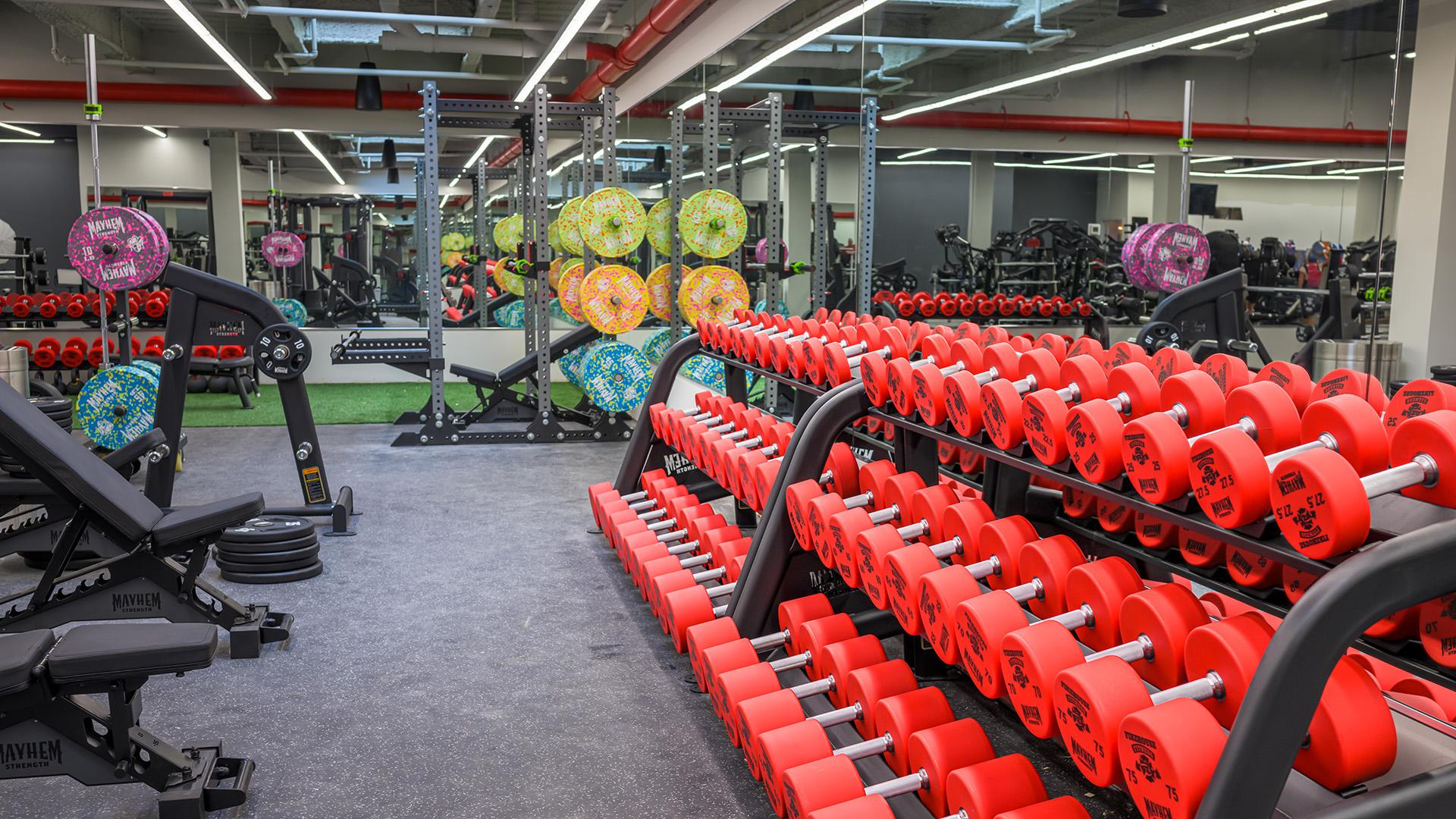Mayhem Fitness